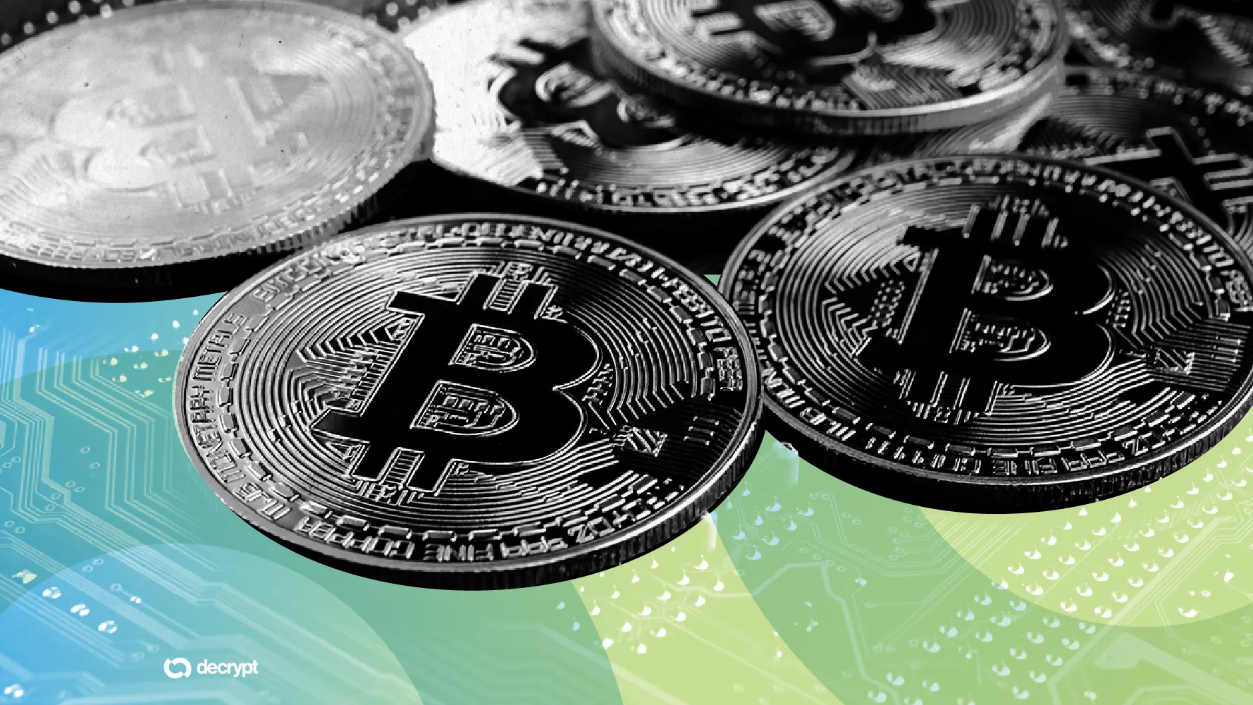BTCUSA: Tracking the Pulse of the Crypto World